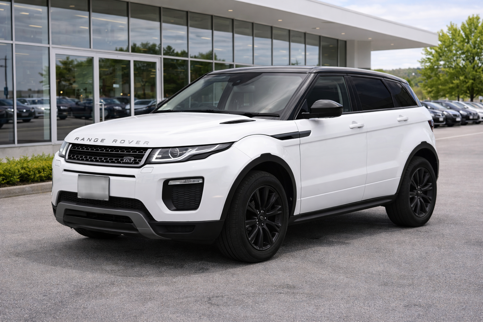 ChatGPT Image Mar 17 2026 02_49_27 AM